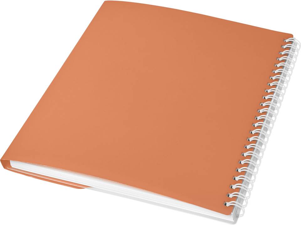 Curve A5 notebook 29