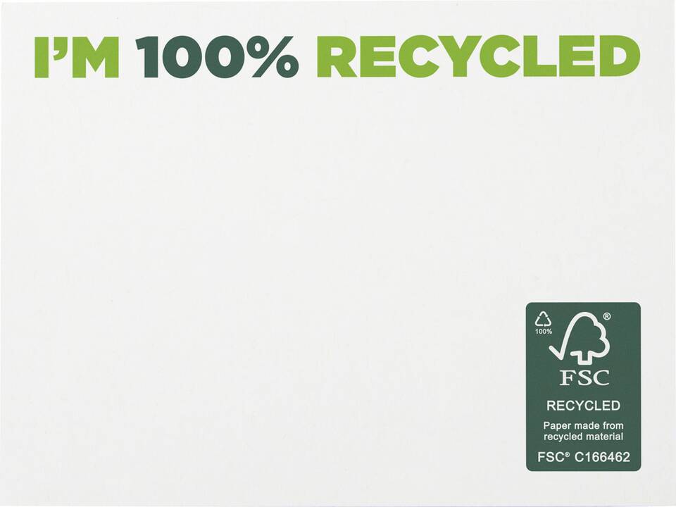Sticky-Mate® recycled sticky notes 100 x 75 mm 14