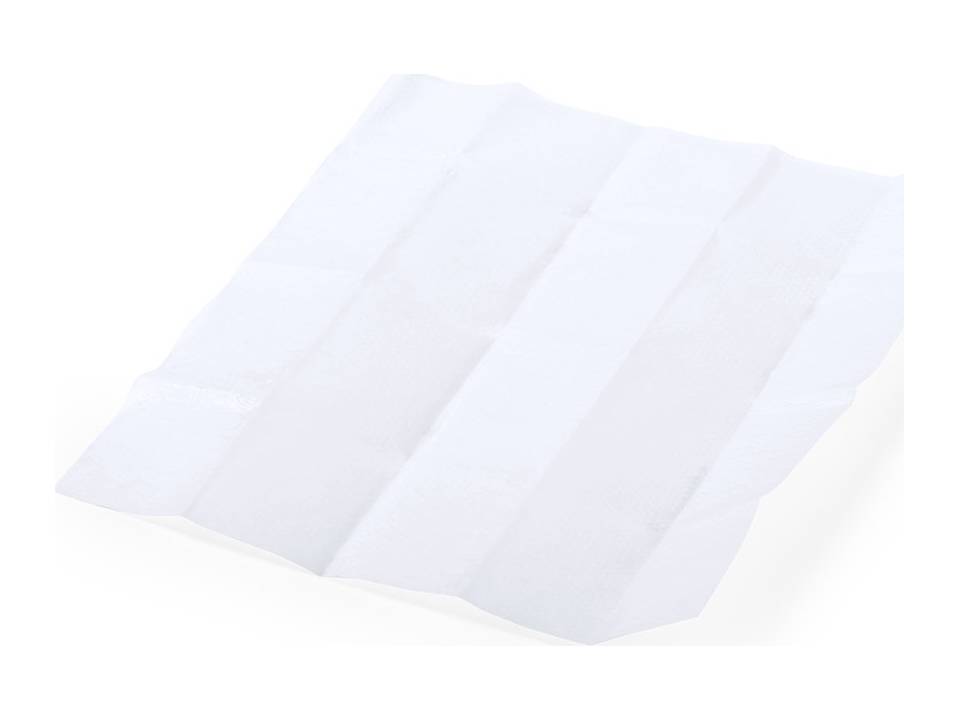 Sanitizer wipe Masup 6