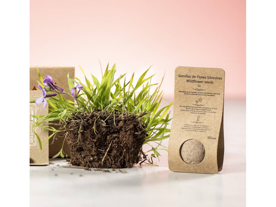 Seed ball Wildflowers 5