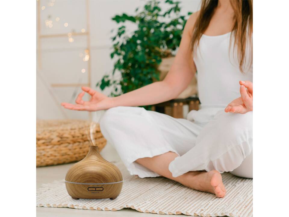 Prixton Hidra humidifier 7