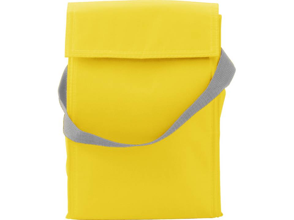 Cooler & lunch bag 2