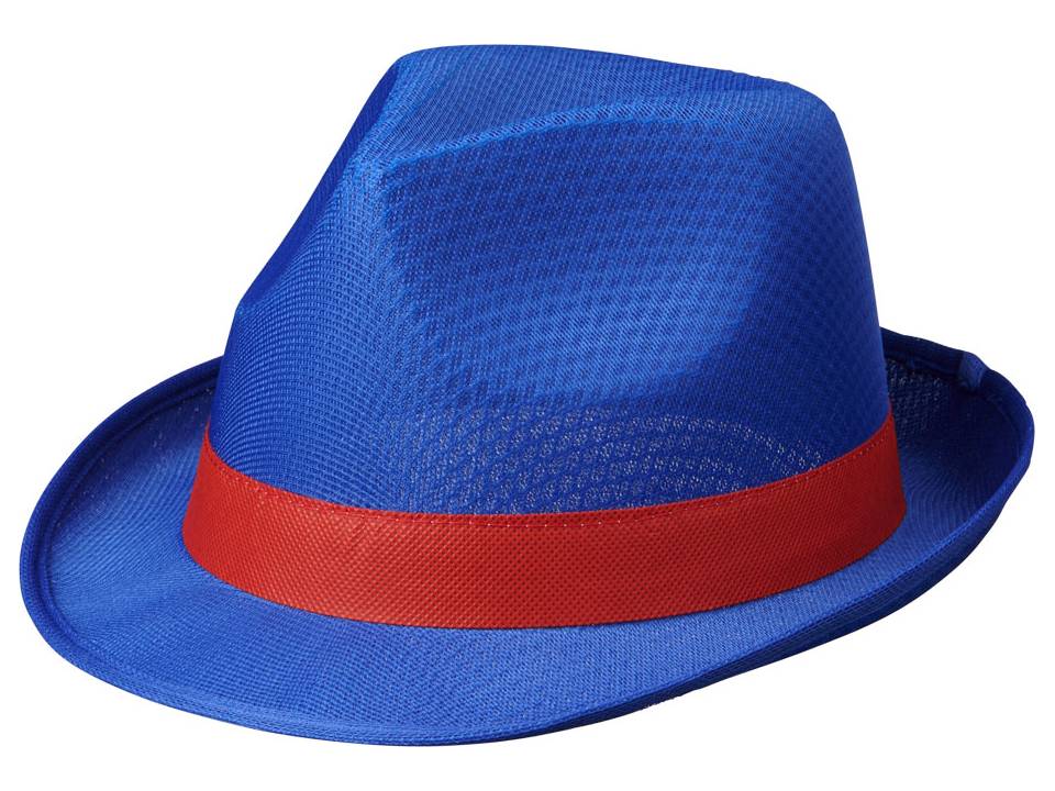 Trilby Hat - Blue 5