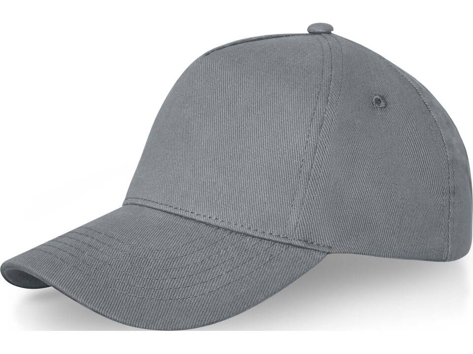 Doyle 5 panel cap 41