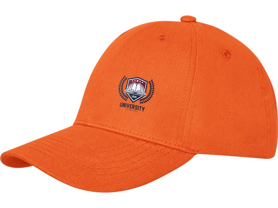 Davis 6 panel cap 38