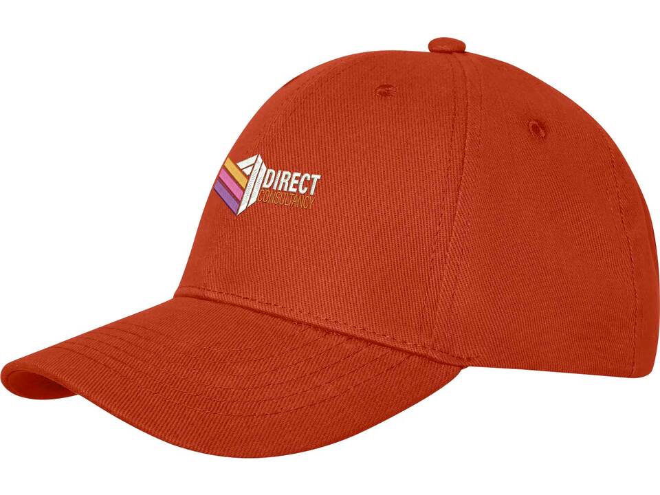 Davis 6 panel cap 16