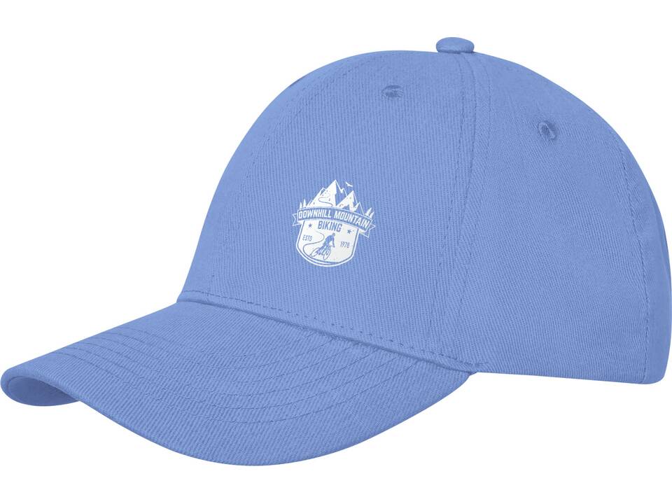 Davis 6 panel cap 46