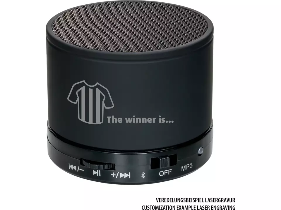 Bluetooth speaker Reeves with FM radio 21