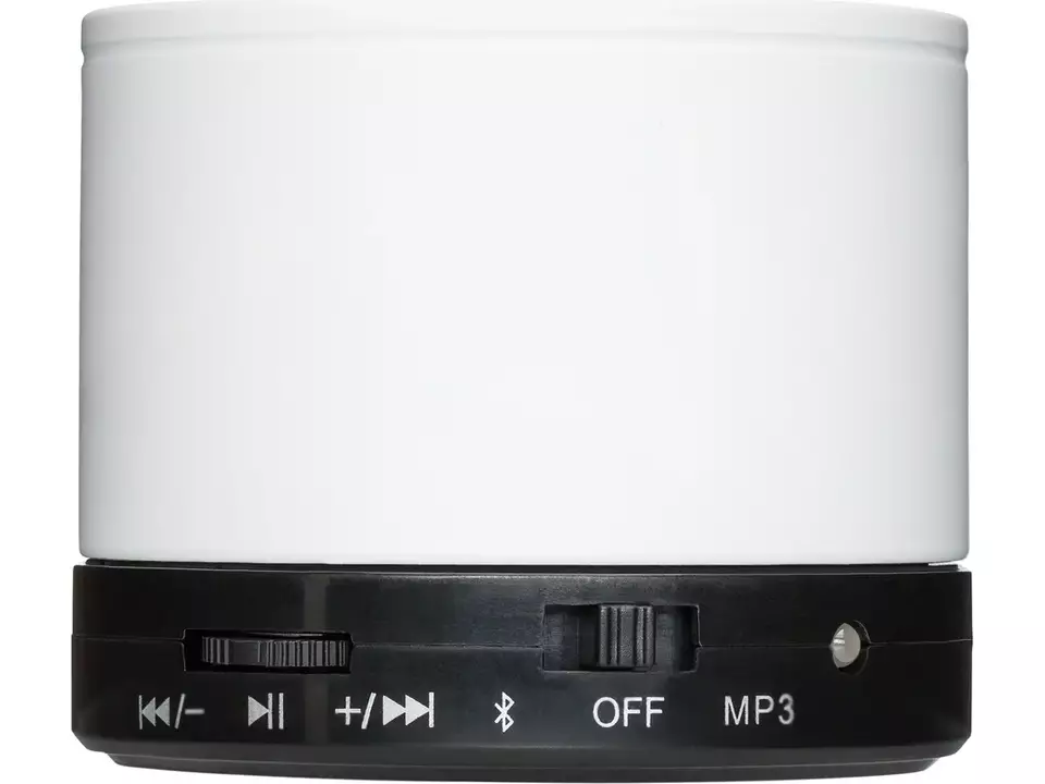 Bluetooth speaker Reeves with FM radio 4