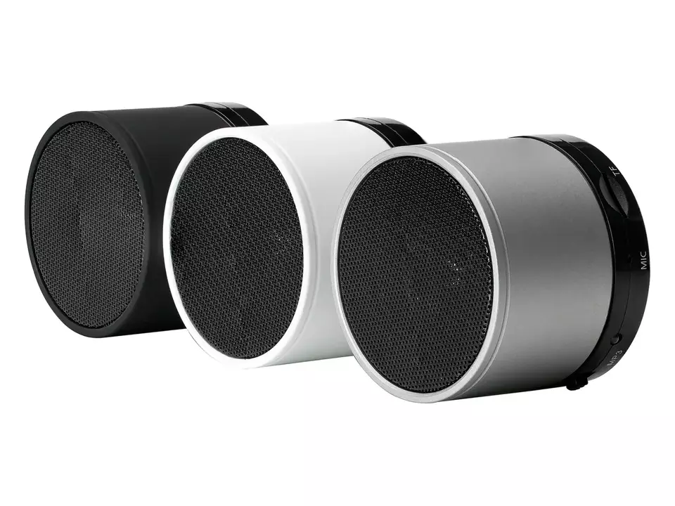 Bluetooth speaker Reeves with FM radio 5