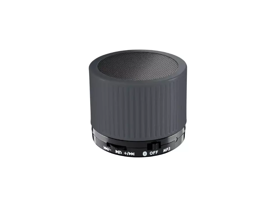 Bluetooth speaker Reeves my Fernley 1