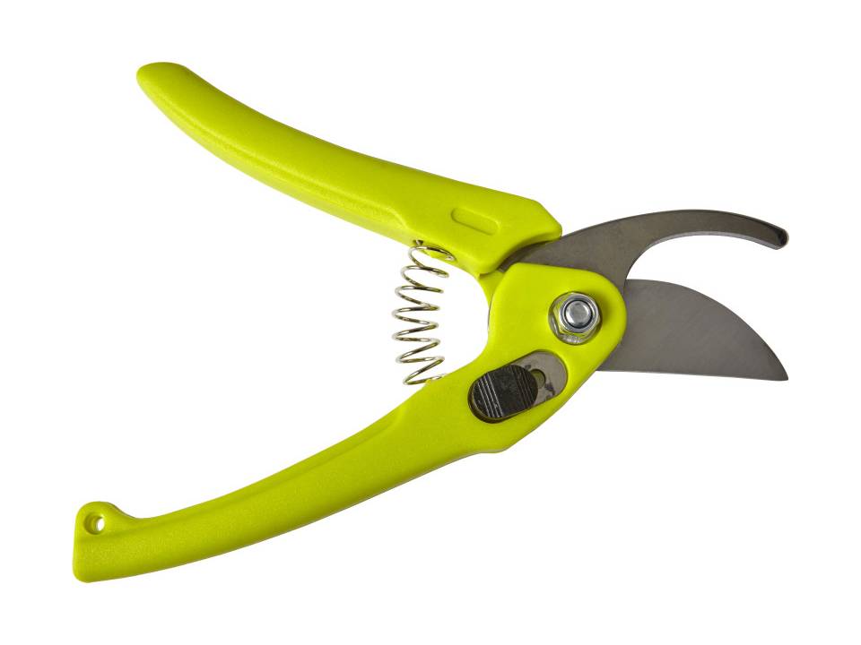 Pruning shears 2