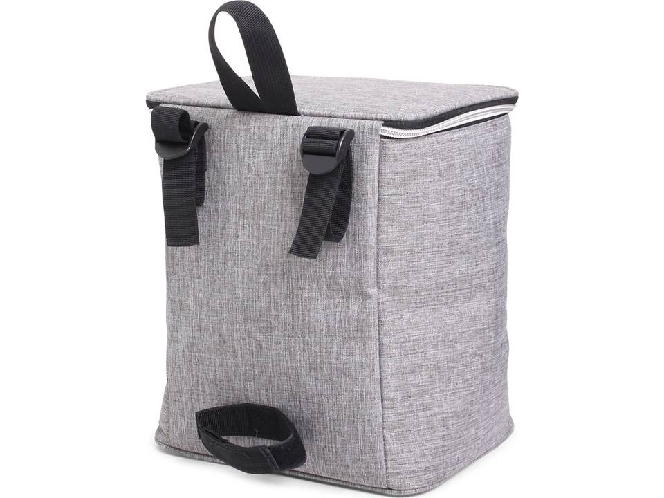 Twin Tone Bicycle Coolerbag 5