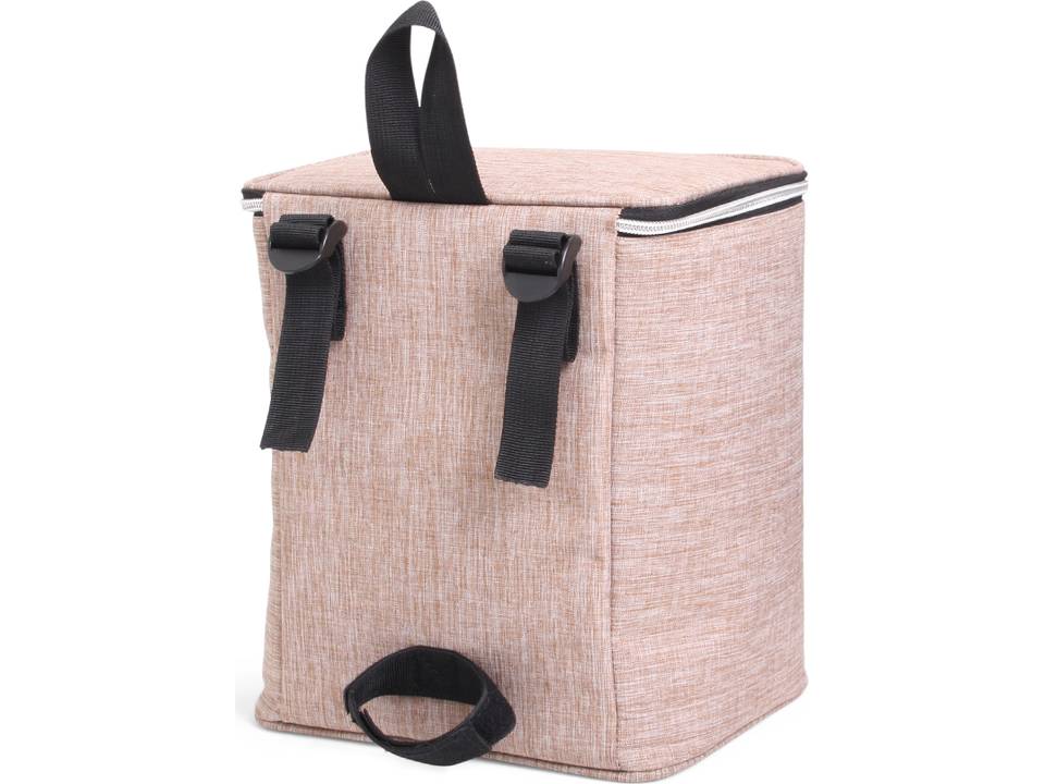 Twin Tone Bicycle Coolerbag 7