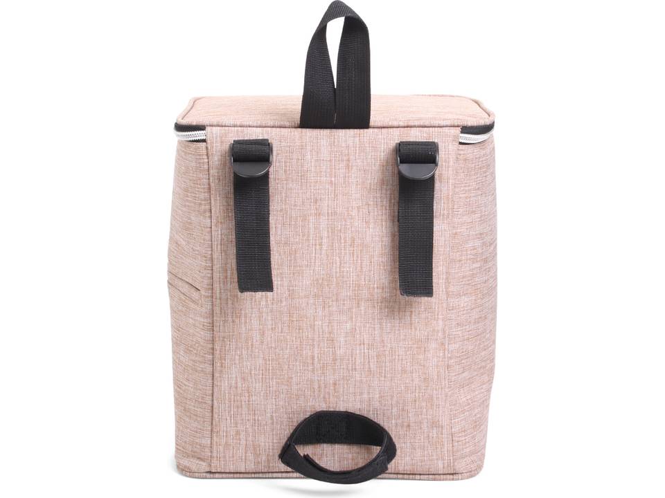 Twin Tone Bicycle Coolerbag 11