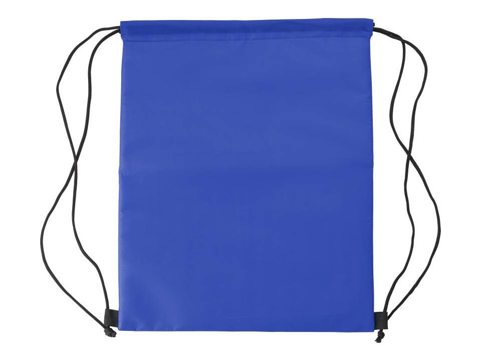 Polyester coolerbag 11