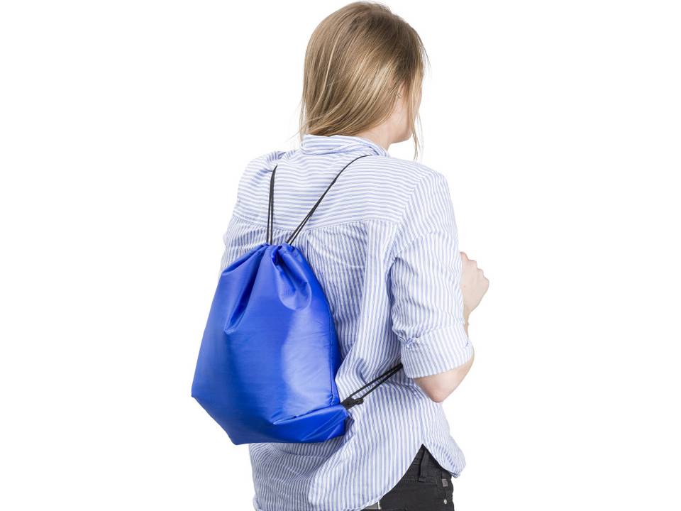 Polyester coolerbag 12