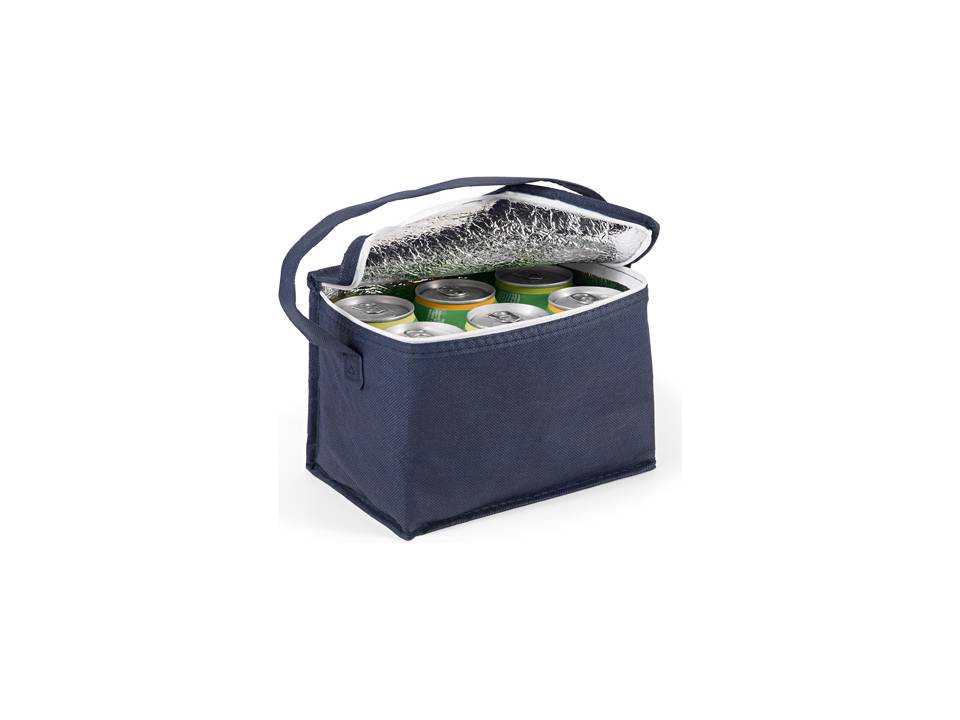 Cooler bag 1