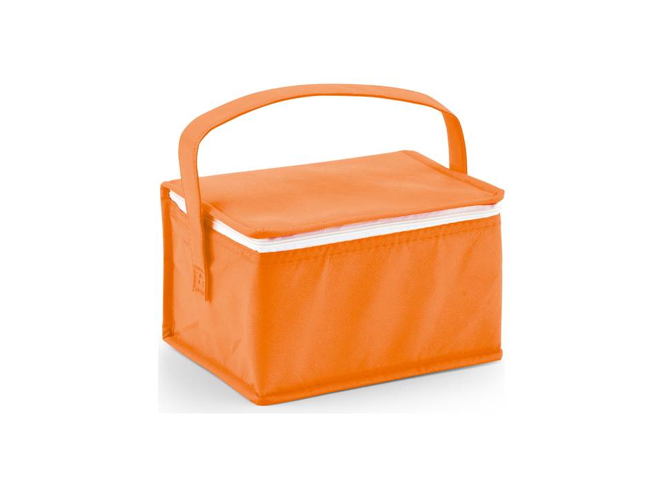 Cooler bag 5