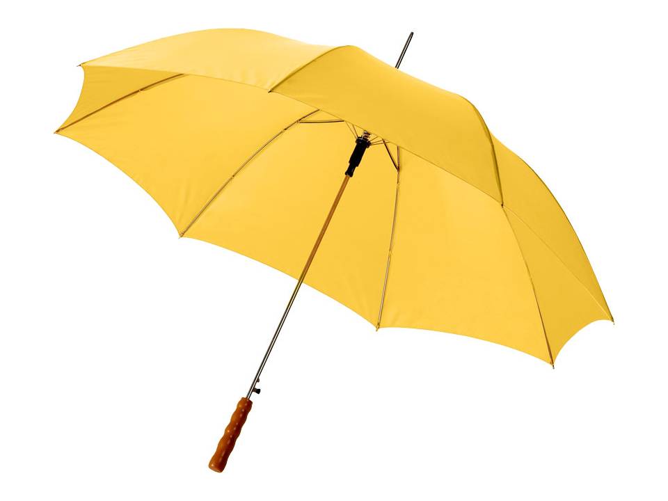 Automatic Umbrella