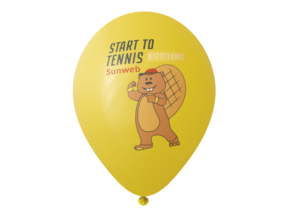 Balloons High Quality Ø33 cm 17