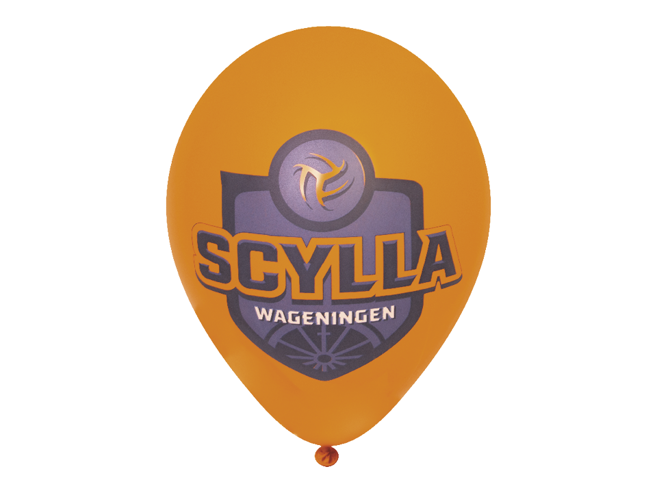 Balloons High Quality Ø33 cm 16