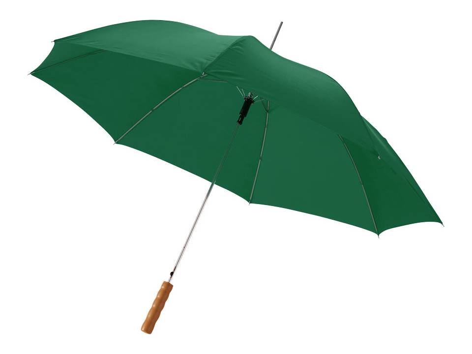 Automatic Umbrella 2