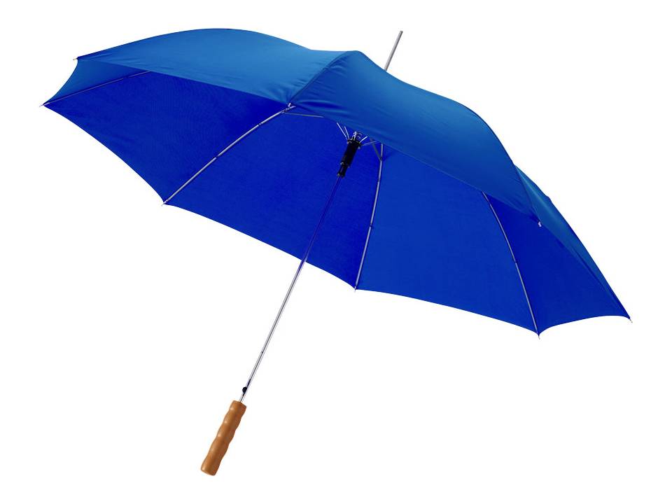 Automatic Umbrella 13