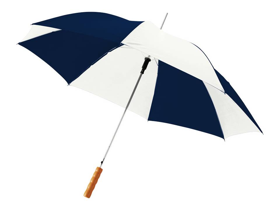 Automatic Umbrella 17