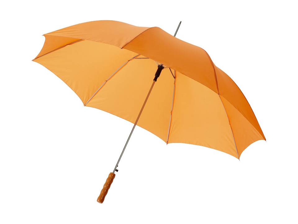 Automatic Umbrella 3
