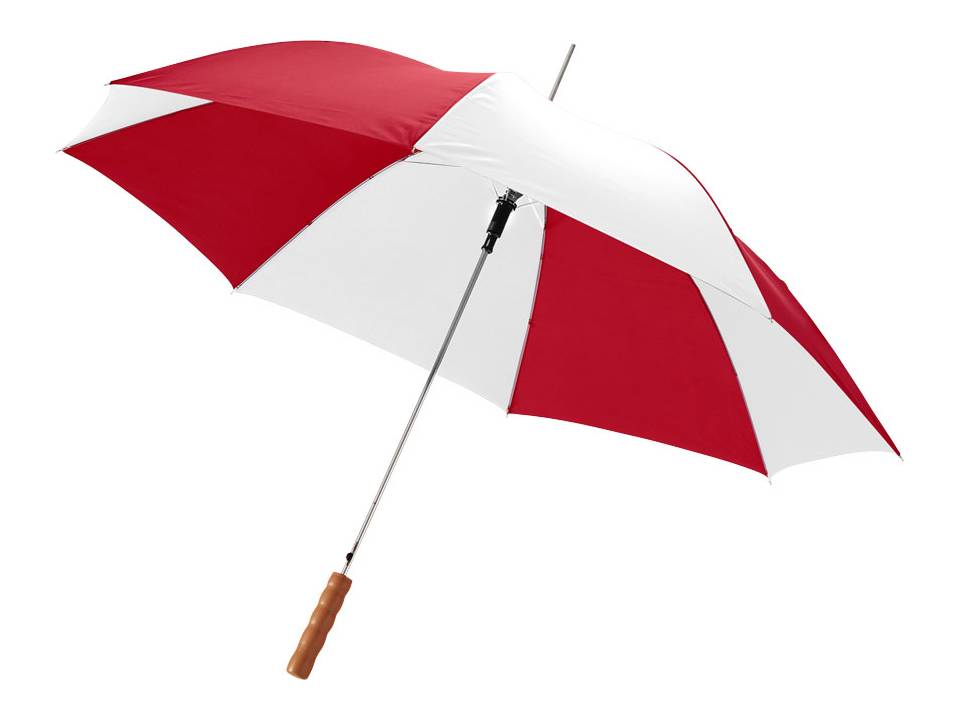 Automatic Umbrella 15