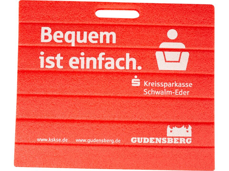 Business Seat standard 3