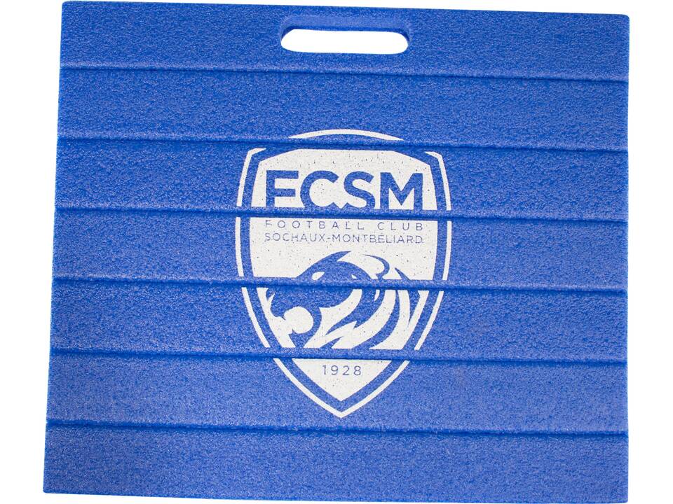 Business Seat standard 4