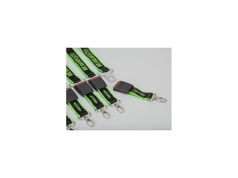 Seatbelt lanyard 1