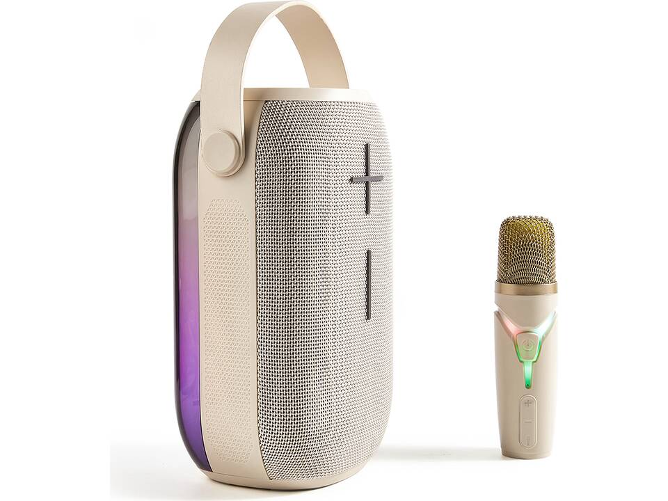 Draagbare, draadloze Bluetooth karaoke set