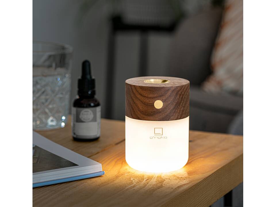 Gingko Smart diffuser 4