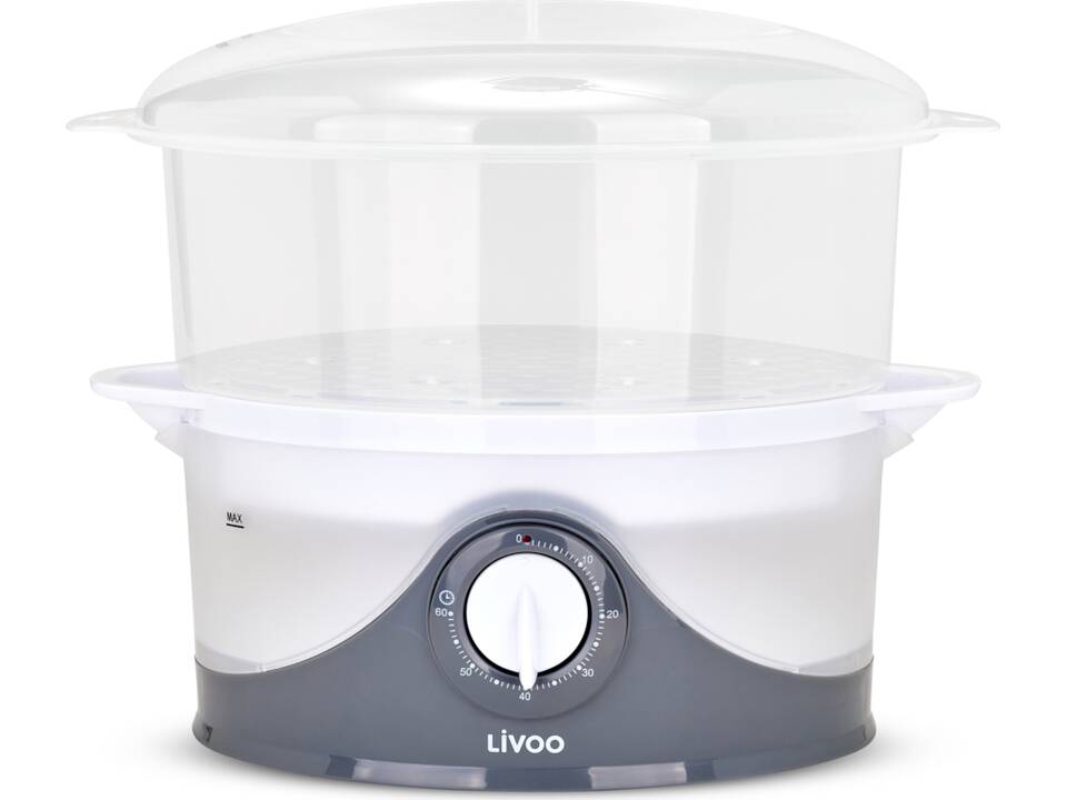 Food and rice steamer 2