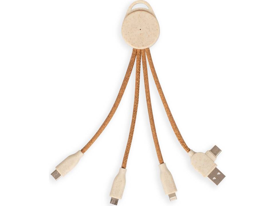 Multi-port charging cable 1