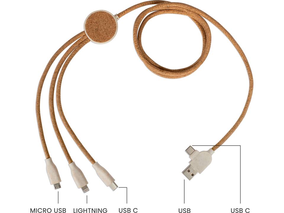 Multi-port charging cable 1
