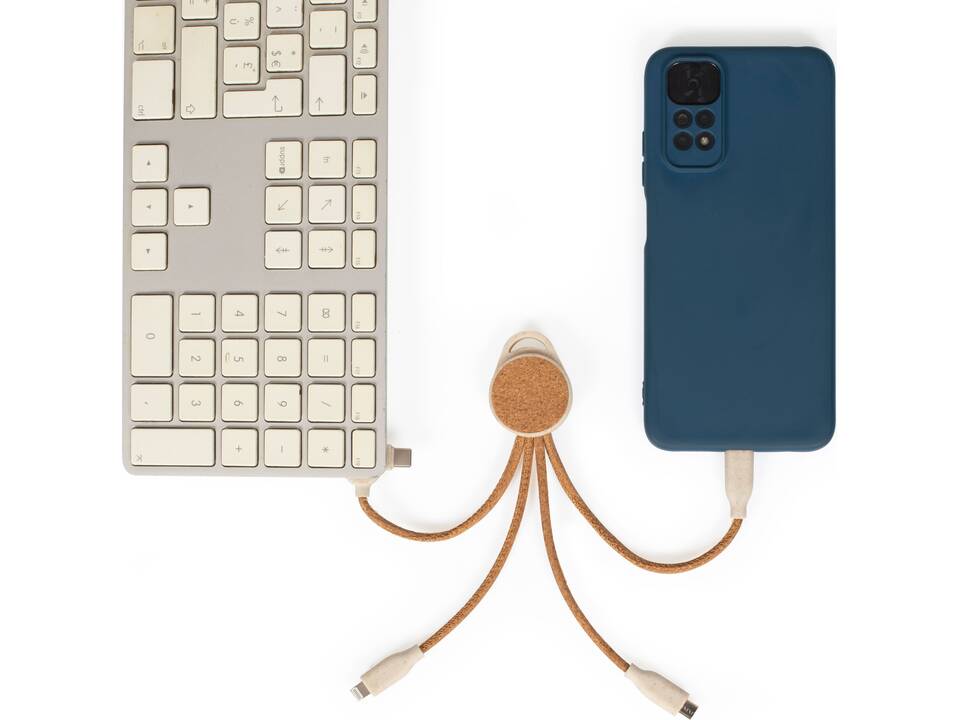 Multi-port charging cable 4