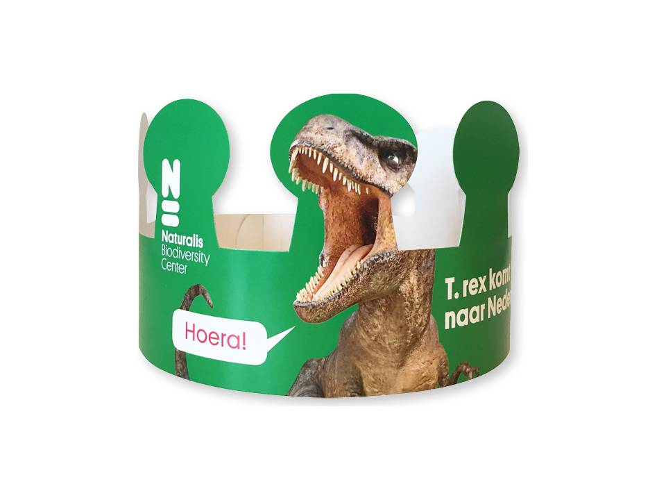 Crowns made from cardboard 1 11