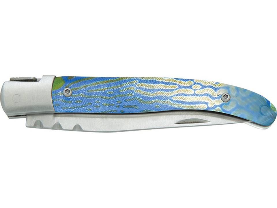 Laguiole knife - 11 cm - clear - with pouch 5