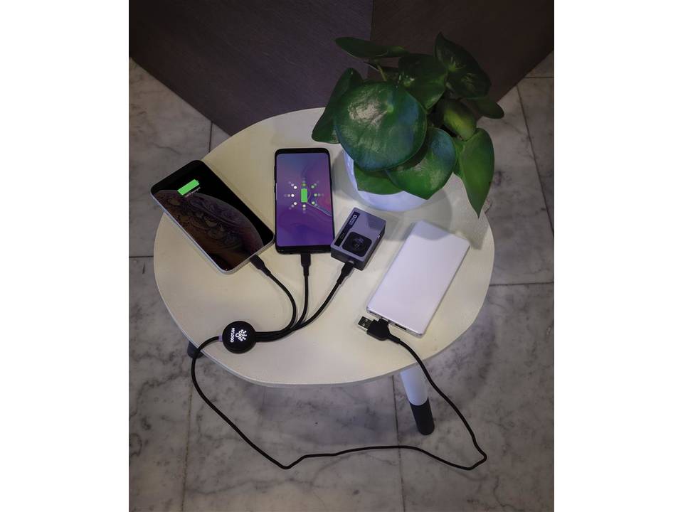 Light up logo 6-in-1 cable 3