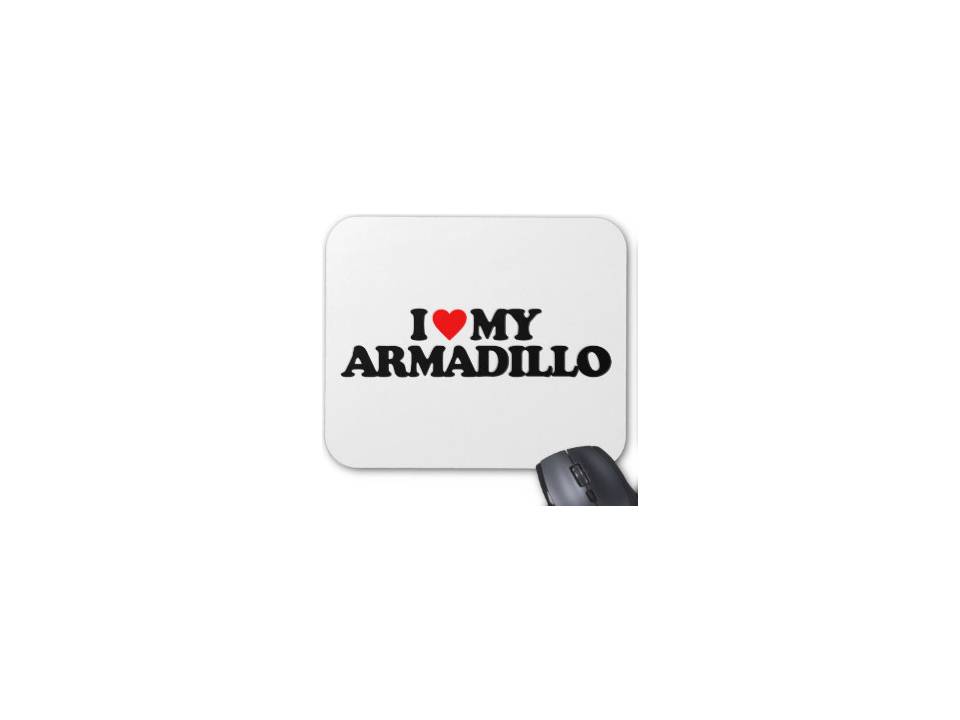 Armadillo Mat 4
