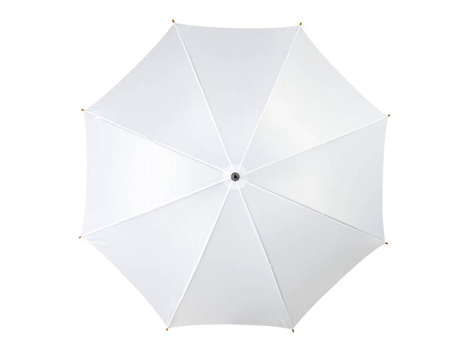 Automatic classic umbrella 2