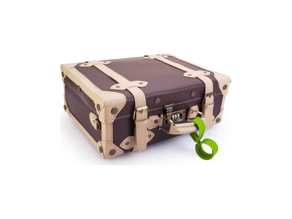 Bellboy luggage tag 2