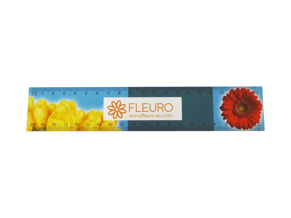 Flexible Rulers 20 cm. 4