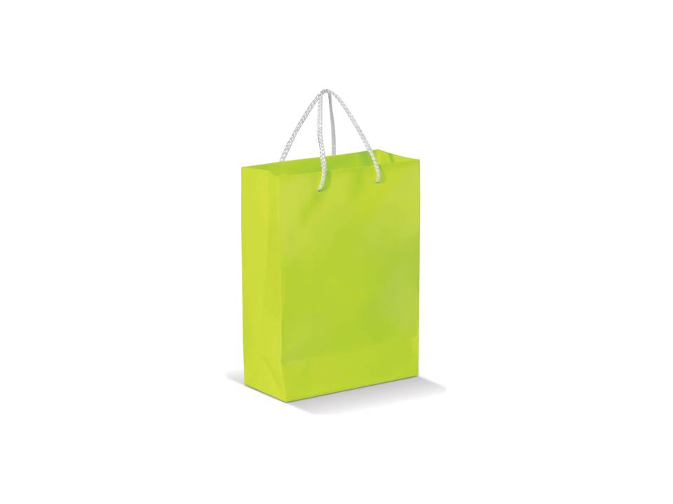 Paper Bag Large 4