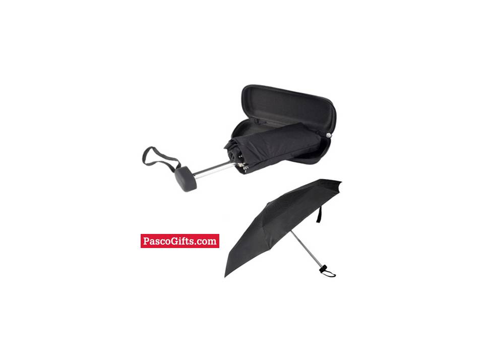 Umbrella in a case 1