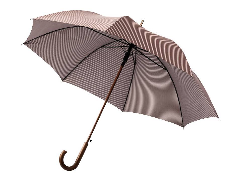 Exclusive Automatic umbrella 3